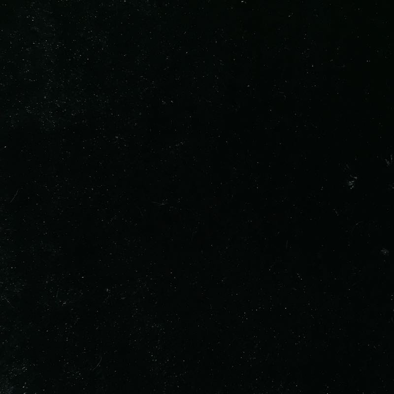 Bear Skin: 13 Black