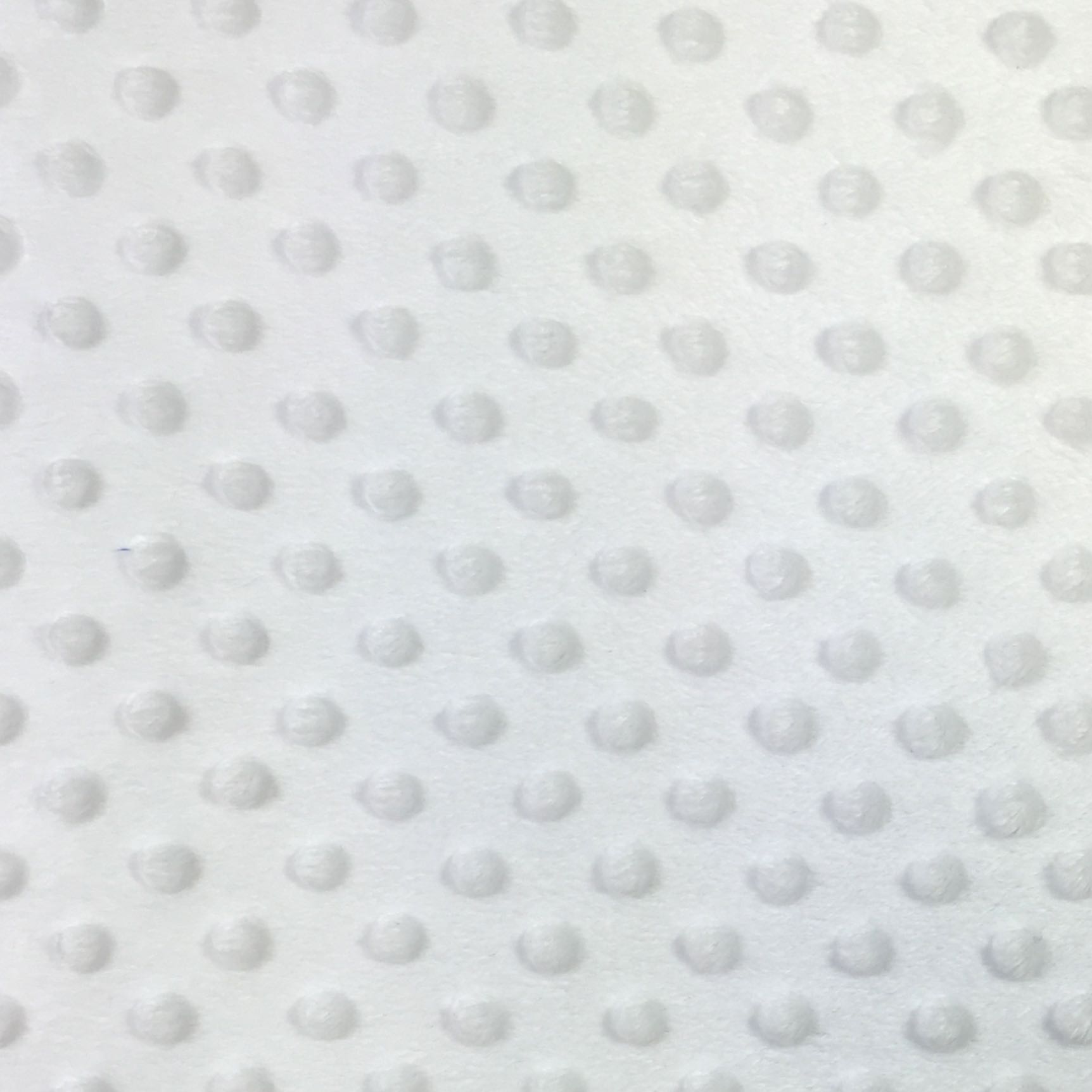 Minky Dots: 21 White - Click Image to Close