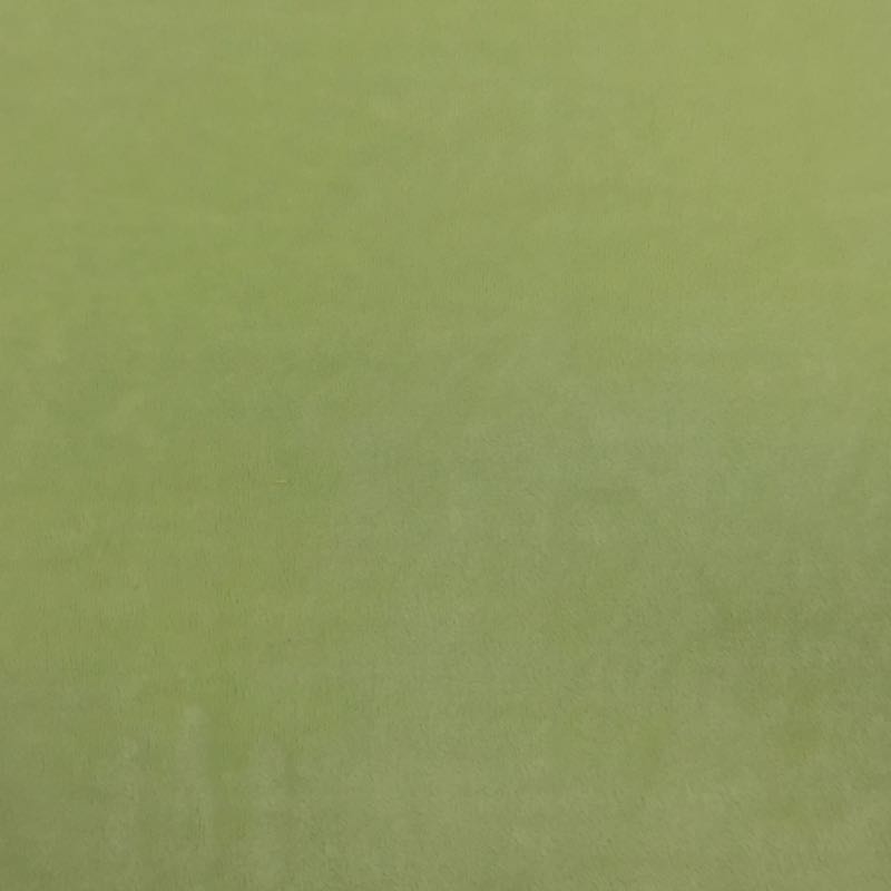 Minky Plain: 21 Asparagus