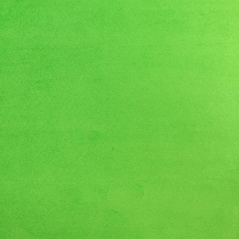 Minky Plain: 30 Lime - Click Image to Close