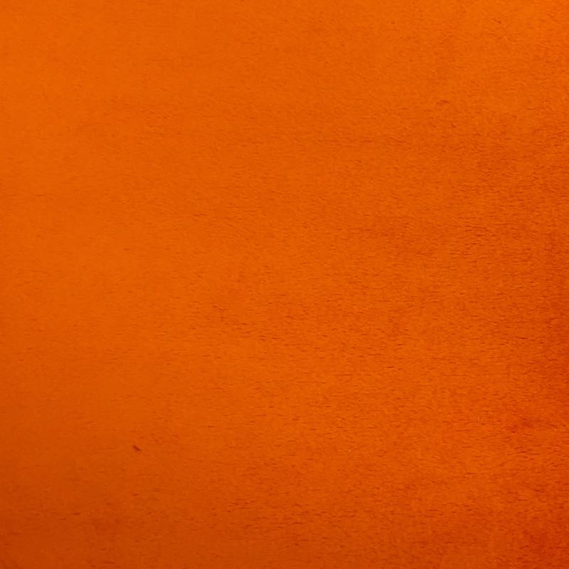 Minky Plain: 20 Orange