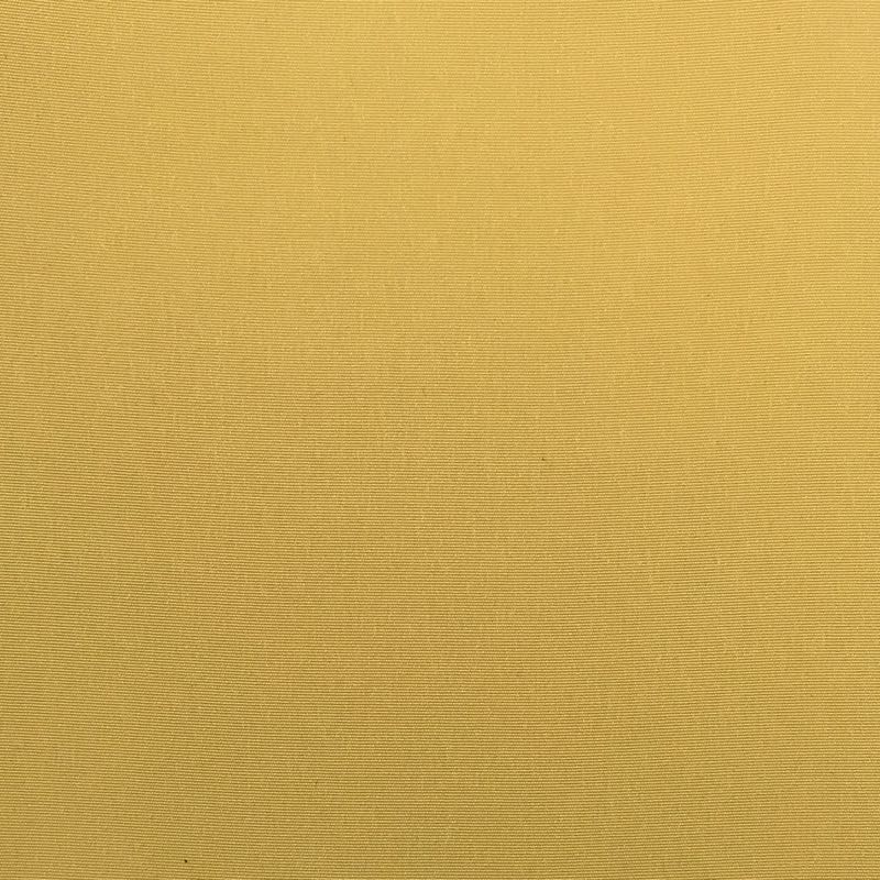 Peachskin: 166 Honey
