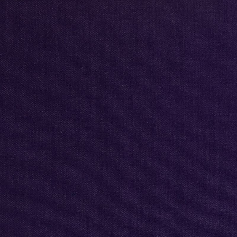 Vision: 13121 Purple